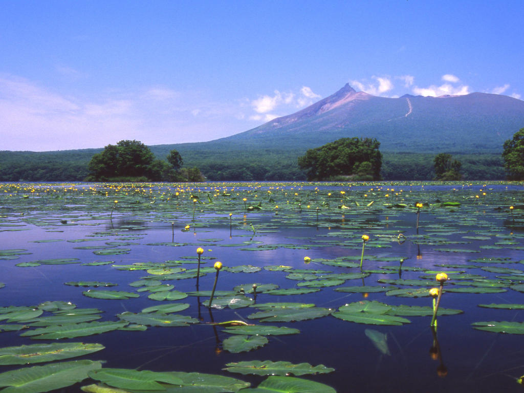 Royal Hotel Minami Hokkaido Shikabe Dış mekan fotoğraf